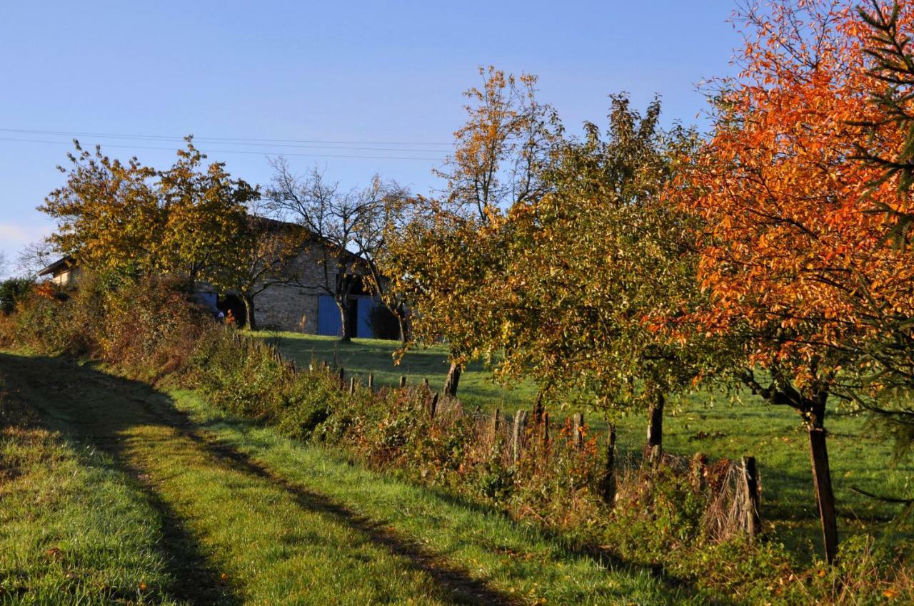 Cuisiat Terres De La Grange B&B 외부 사진