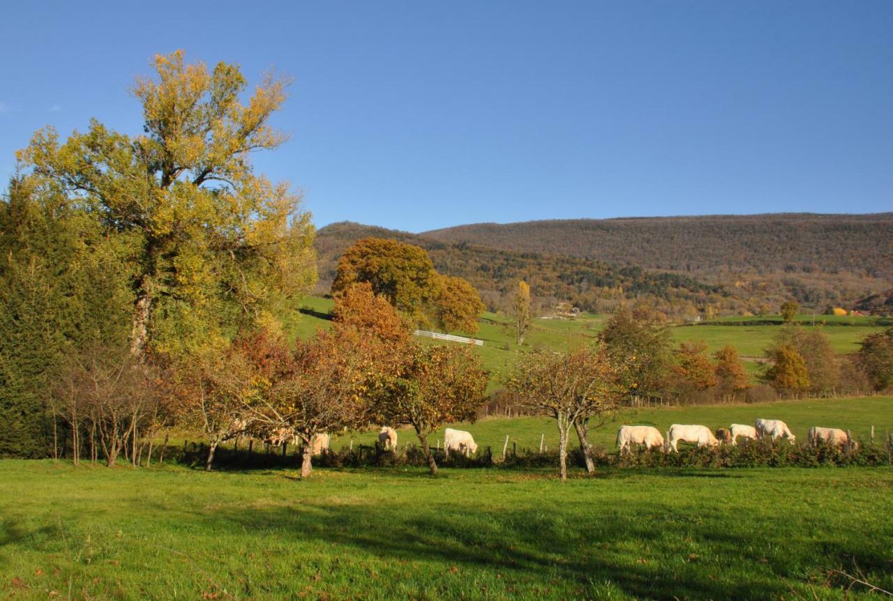 Cuisiat Terres De La Grange B&B 외부 사진